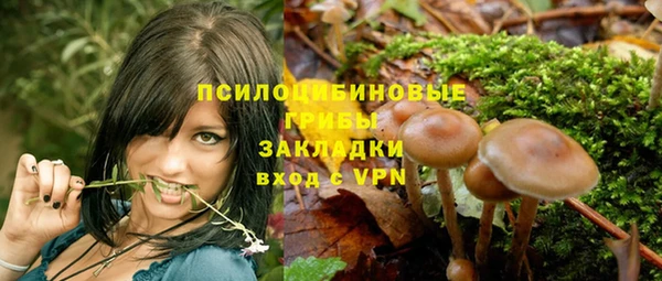 метадон Бородино