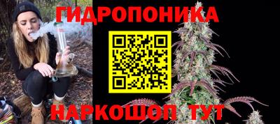сатива Кудрово