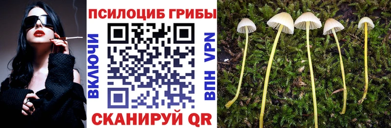 shop наркотические препараты  Северск  Псилоцибиновые грибы Psilocybine cubensis 