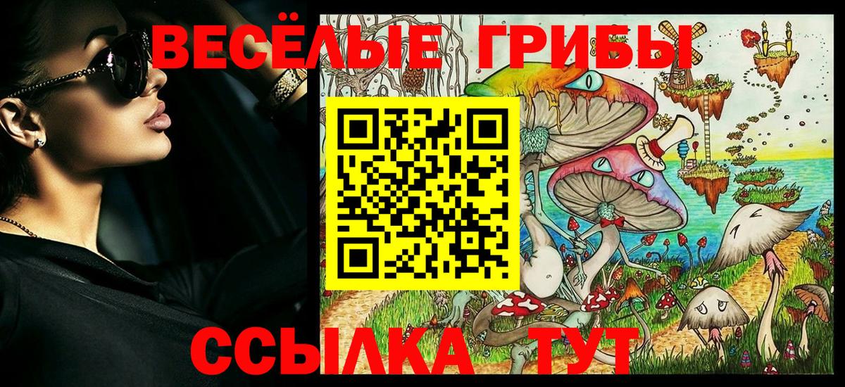 Псилоцибиновые грибы мухоморы Северск
