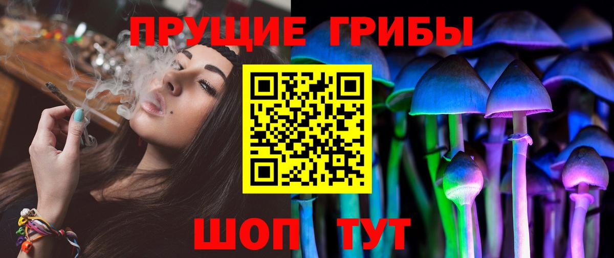 Северск  Псилоцибиновые грибы ЛСД  Псилоцибиновые грибы мухоморы  Вход с VPN 